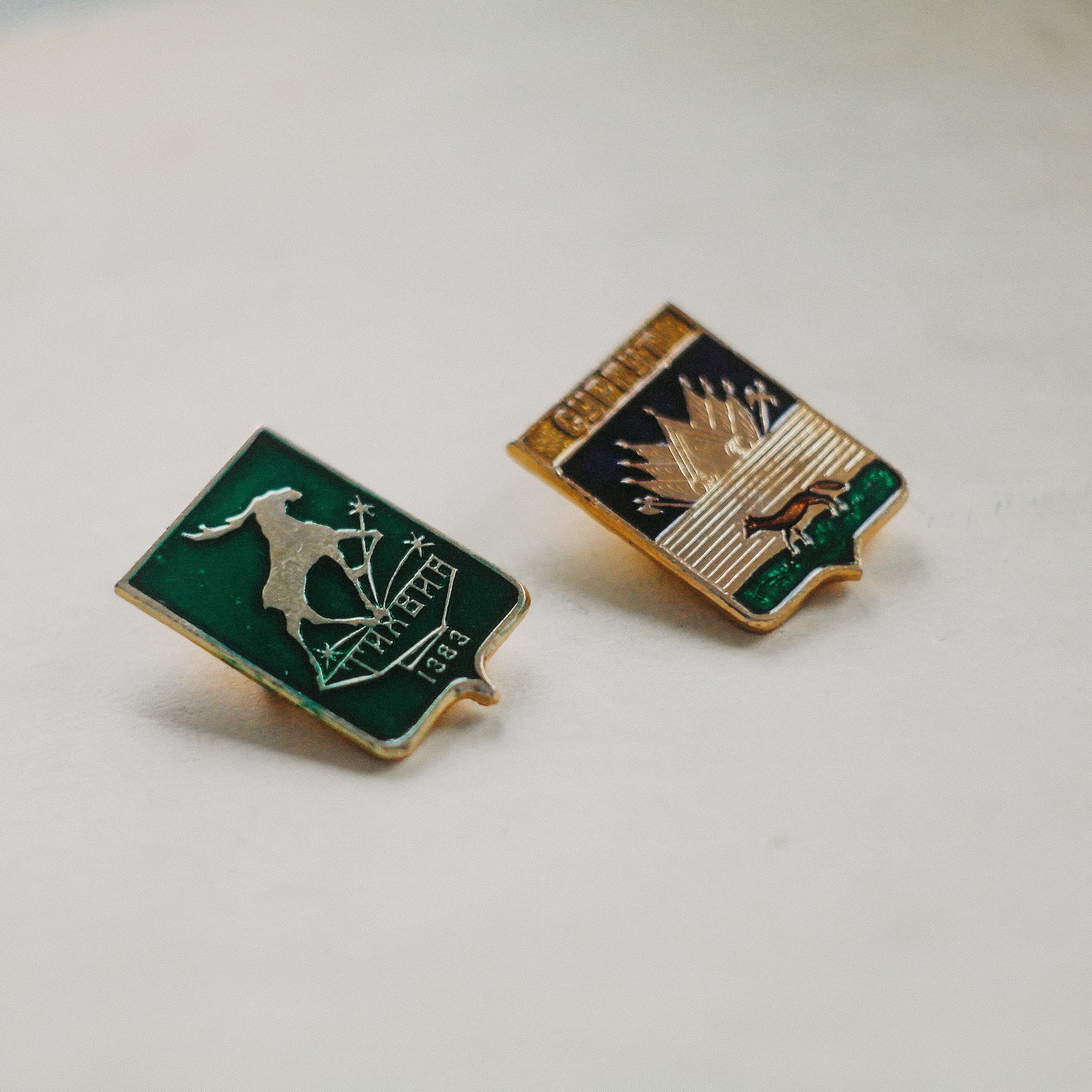 Custom Lapel Pins for Education: Creating Connection and Community in Schools